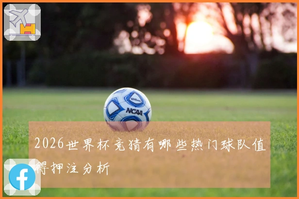 2026世界杯竞猜有哪些热门球队值得押注分析