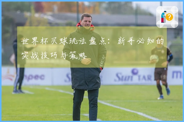 世界杯买球玩法盘点：新手必知的实战技巧与策略