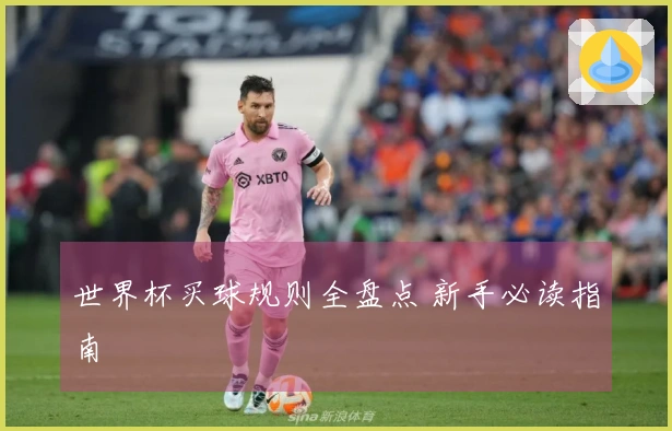 世界杯买球规则全盘点 新手必读指南
