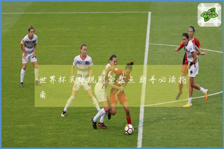 世界杯买球规则全盘点 新手必读指南