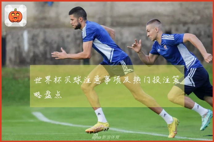 世界杯买球注意事项及热门投注策略盘点