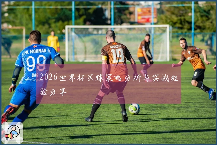 2026世界杯买球策略分析与实战经验分享